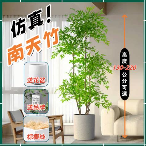 室內假植物|仿真植物｜優惠推